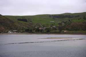 HARINGTON-POINT-DUNEDIN (11)